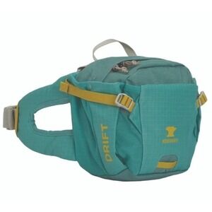 Mountainsmith Drift Lumbar Pack Teal Detachable Strap Outdoors Hiking Gorpcore